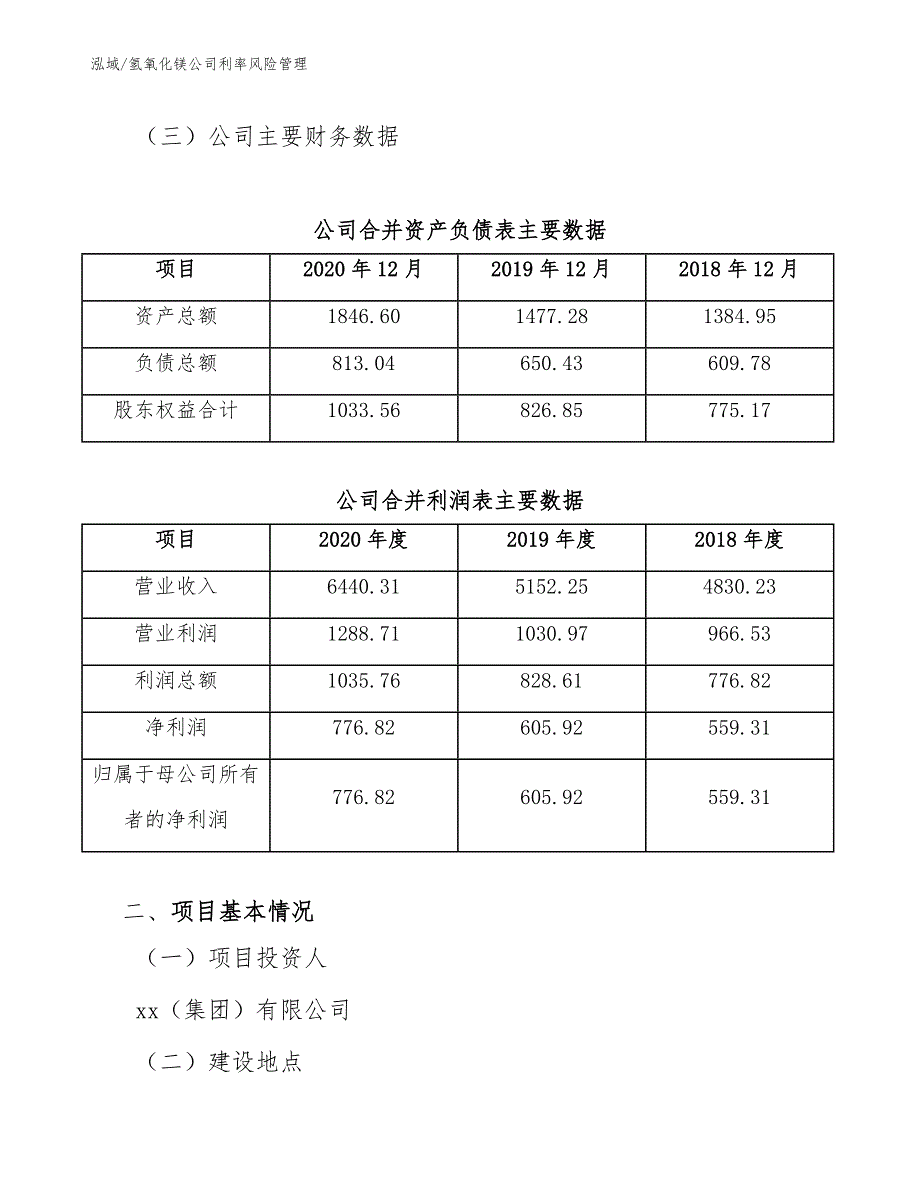 氢氧化镁公司利率风险管理（范文）_第3页