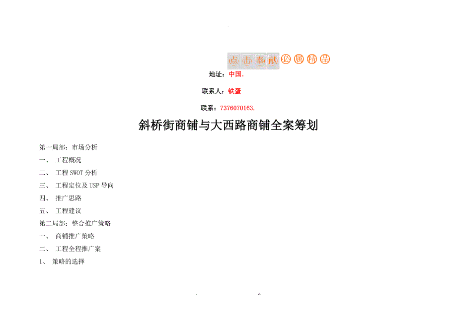 商业地产斜桥街商铺与大西路商铺全案策划中国点击地产营销顾问_第1页