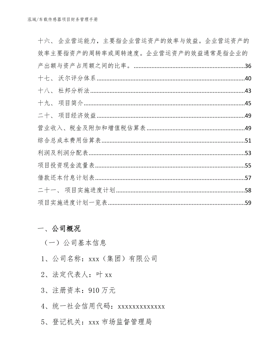 车载传感器项目财务管理手册【范文】_第2页