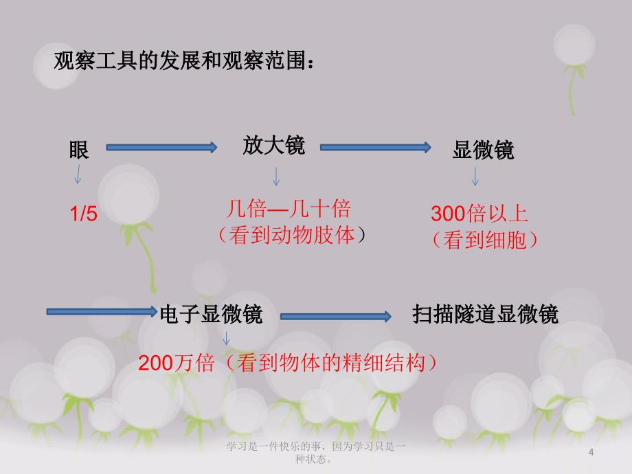 2022秋人教教科版小学科学六年级下册《微小世界和我们》教学课件_第4页