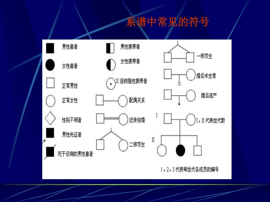 单基因遗传与单基因病_第4页