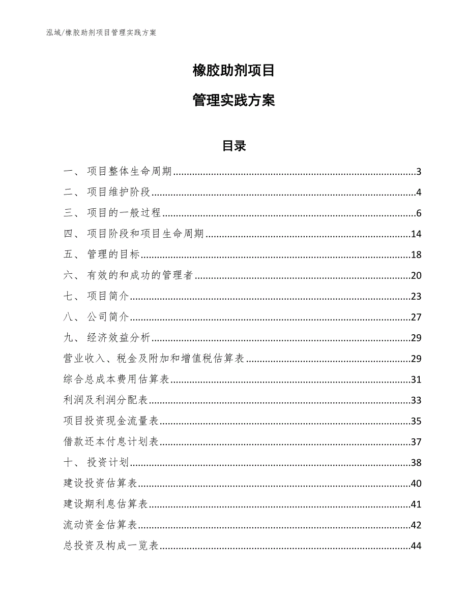 橡胶助剂项目管理实践方案_第1页