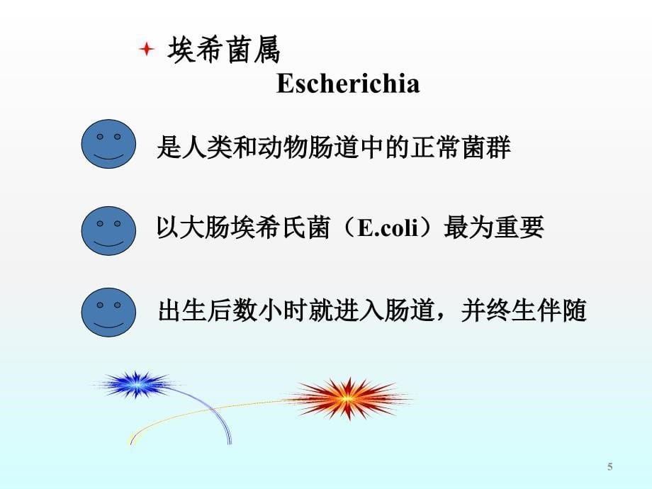 肠杆菌科ppt课件_第5页