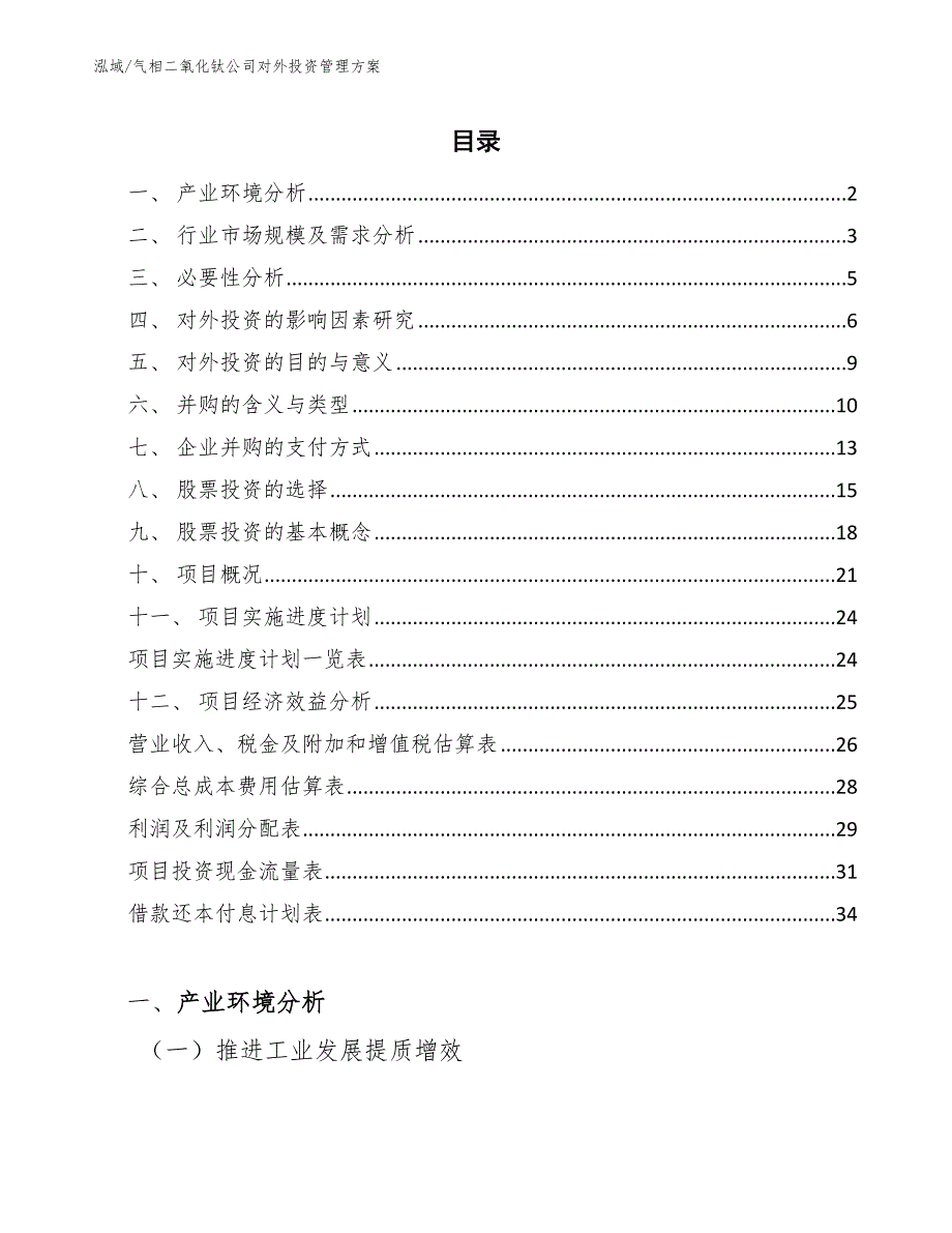 气相二氧化钛公司对外投资管理方案【范文】_第2页