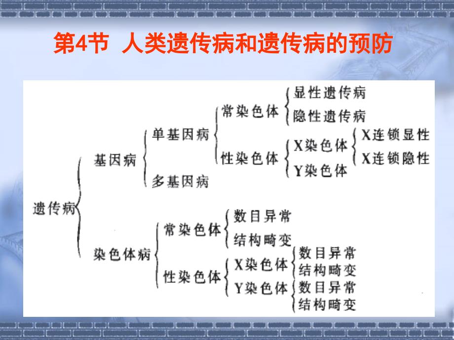 人类遗传病和遗传病的预防.ppt_第2页