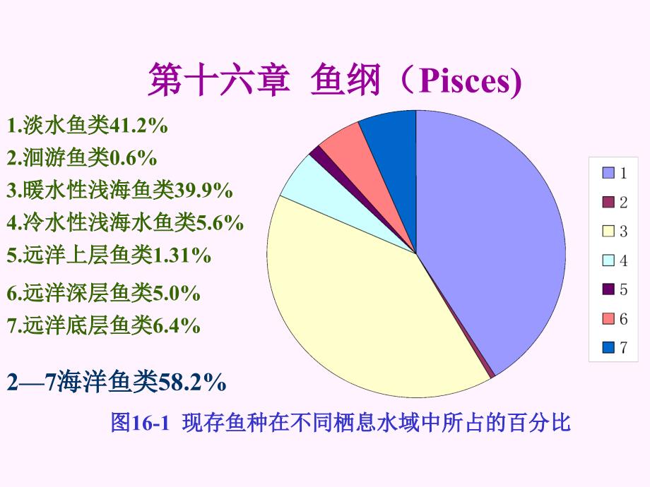 普通动物学第十六章-鱼纲_第2页