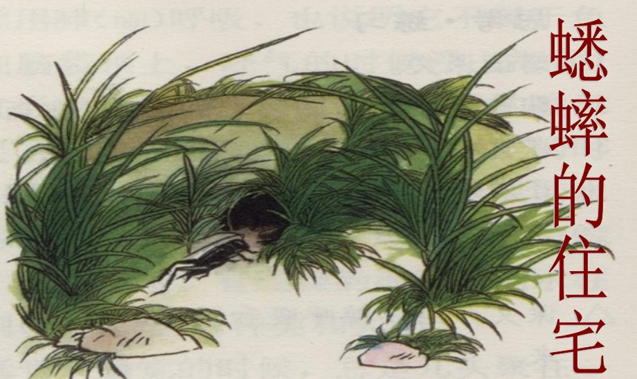 部编版四年级语文上册--11.蟋蟀的住宅-课件1_第1页