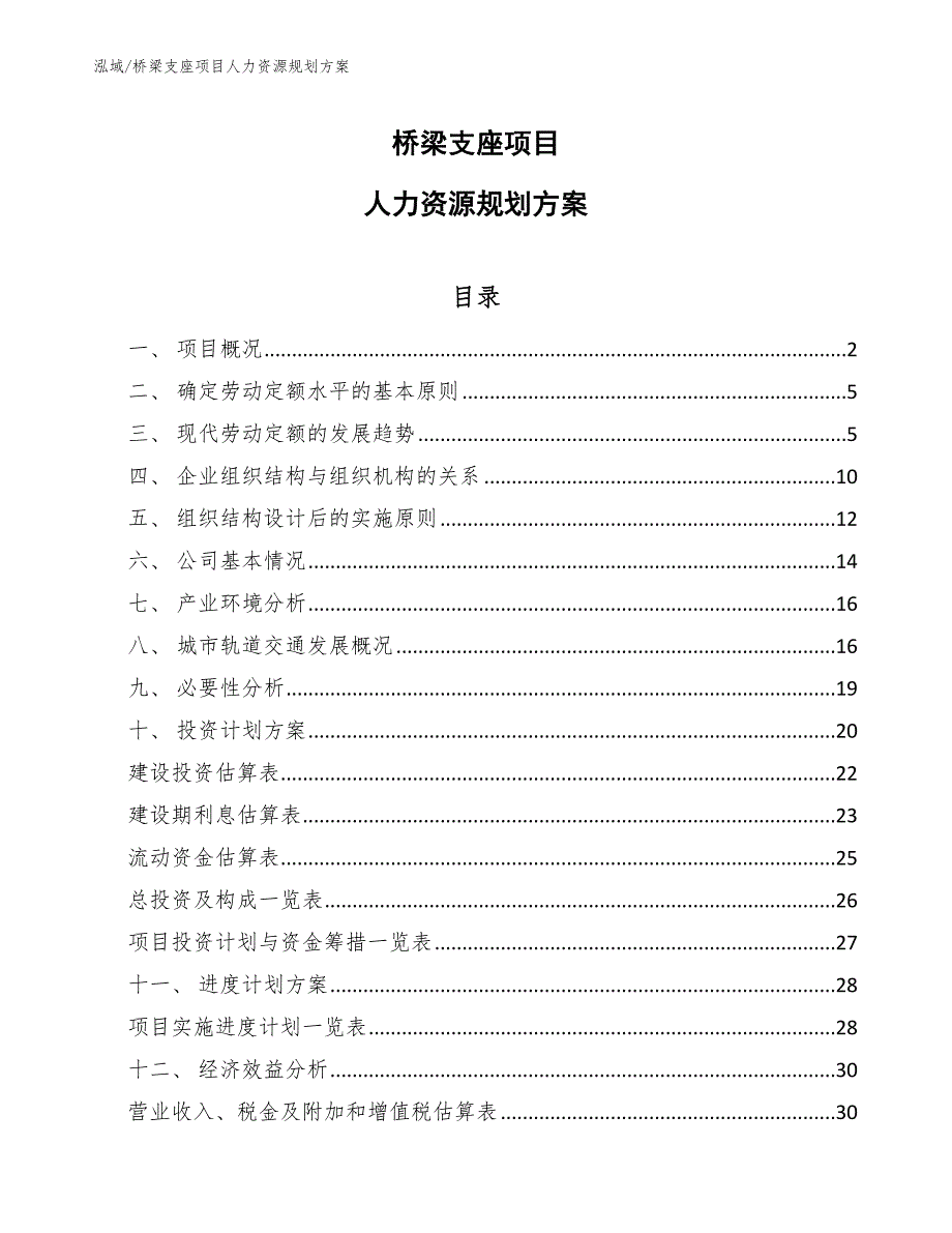 桥梁支座项目人力资源规划方案（范文）_第1页