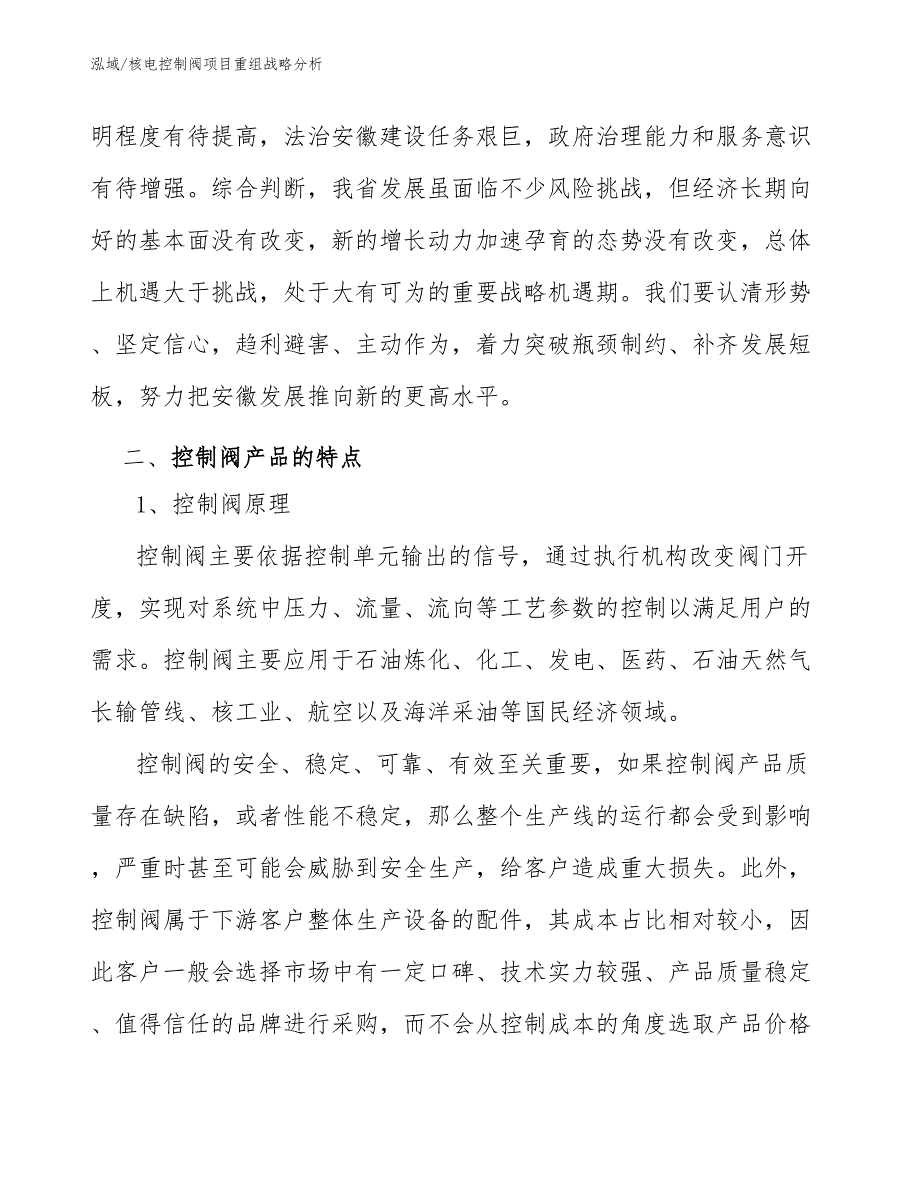 核电控制阀项目重组战略分析_第3页