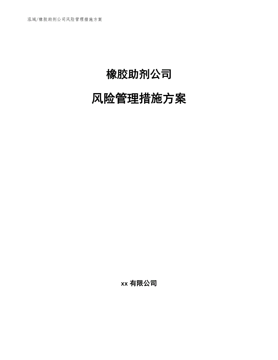 橡胶助剂公司风险管理措施方案_第1页