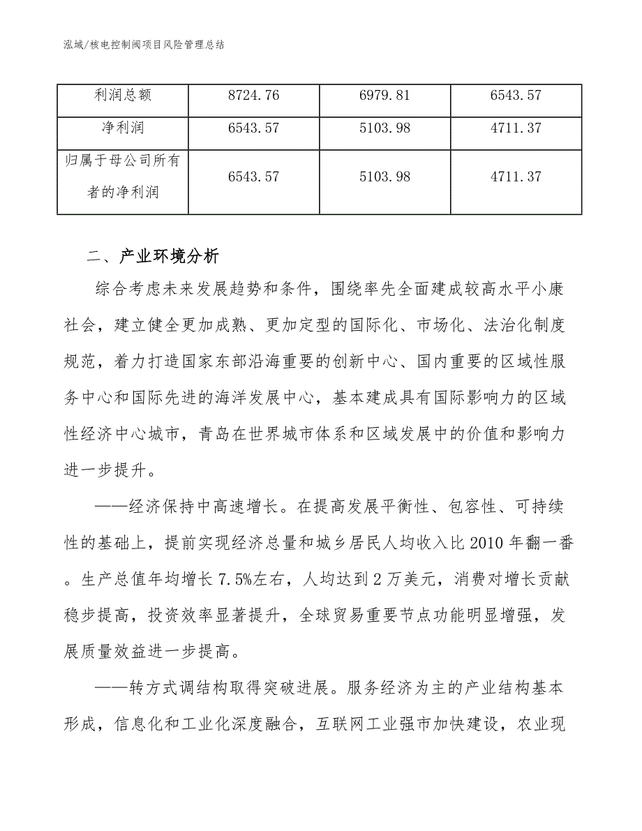 核电控制阀项目风险管理总结（参考）_第4页