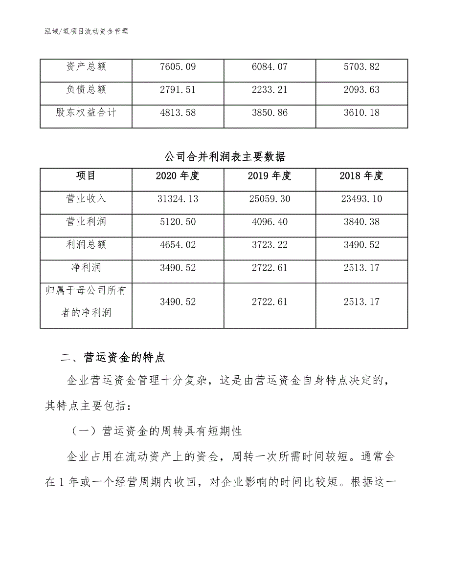 氢项目流动资金管理_参考_第3页