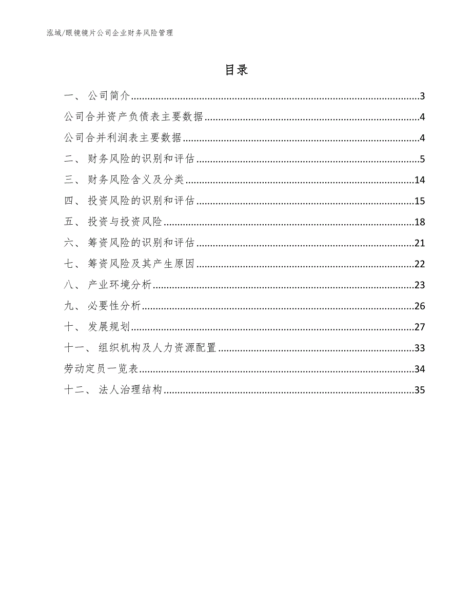 眼镜镜片公司企业财务风险管理_范文_第2页