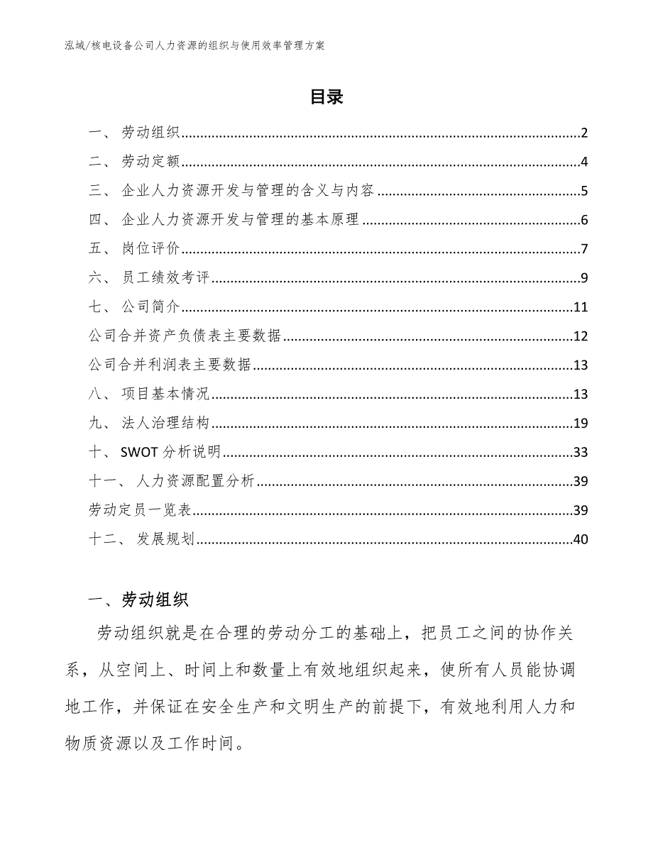 核电设备公司人力资源的组织与使用效率管理方案（范文）_第2页