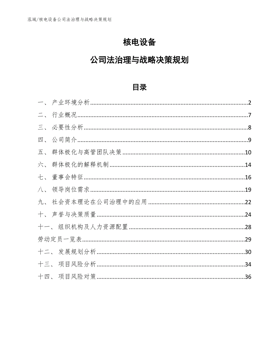 核电设备公司法治理与战略决策规划_第1页