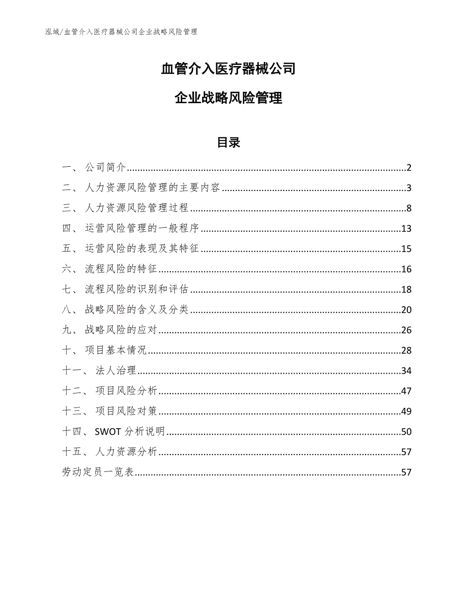 血管介入医疗器械公司企业战略风险管理_范文_第1页