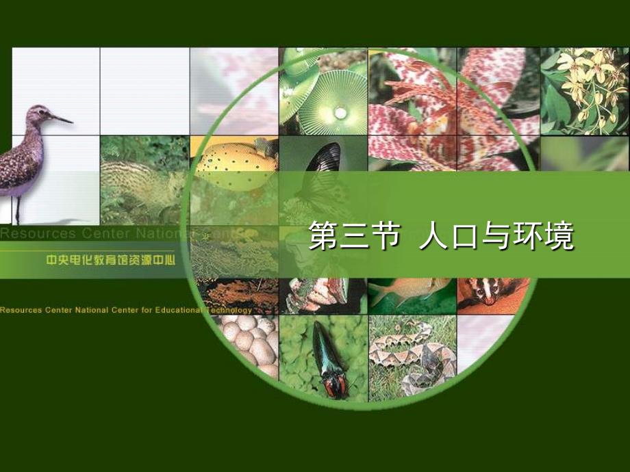 人口与环境教学课件_第1页