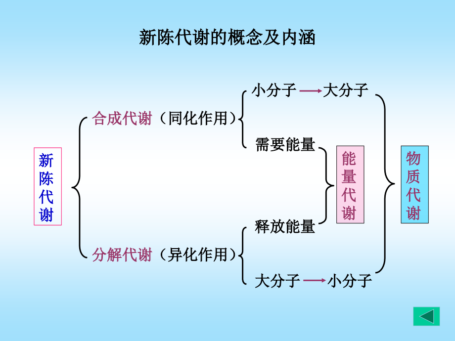 基础生物化学第9章糖代谢教学课件_第4页