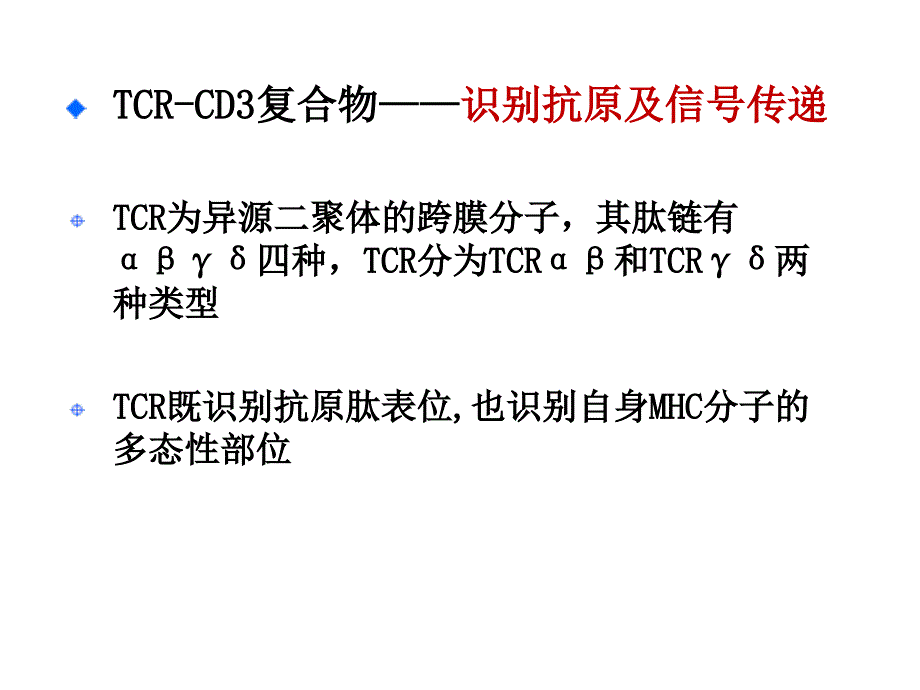 医学免疫学课件：T淋巴细胞_第4页