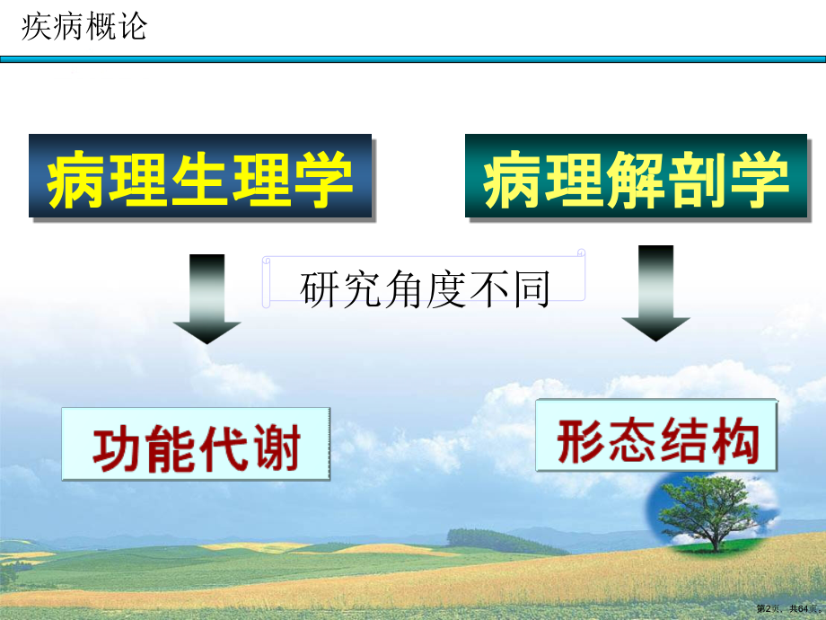 基础医学概论复习教学课件章疾病概论_第2页