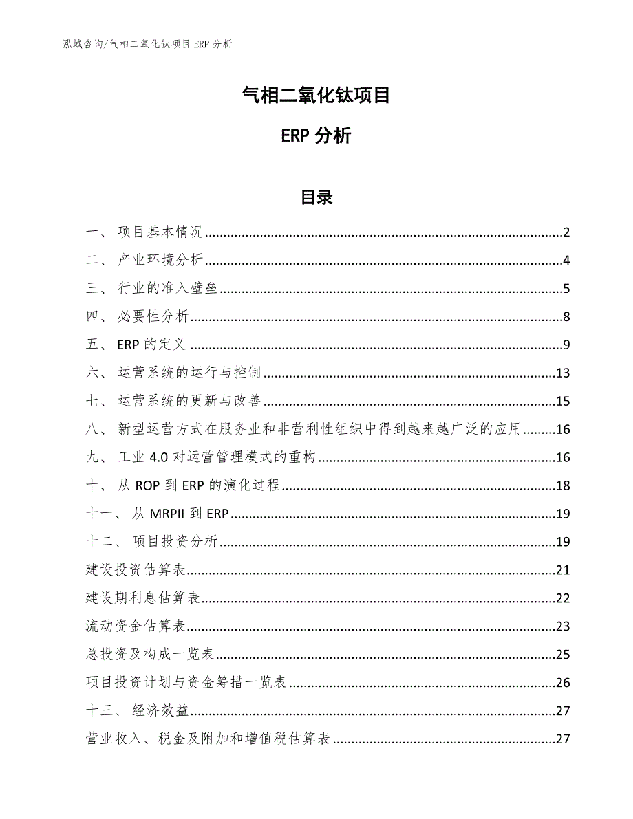 气相二氧化钛项目ERP分析【参考】_第1页