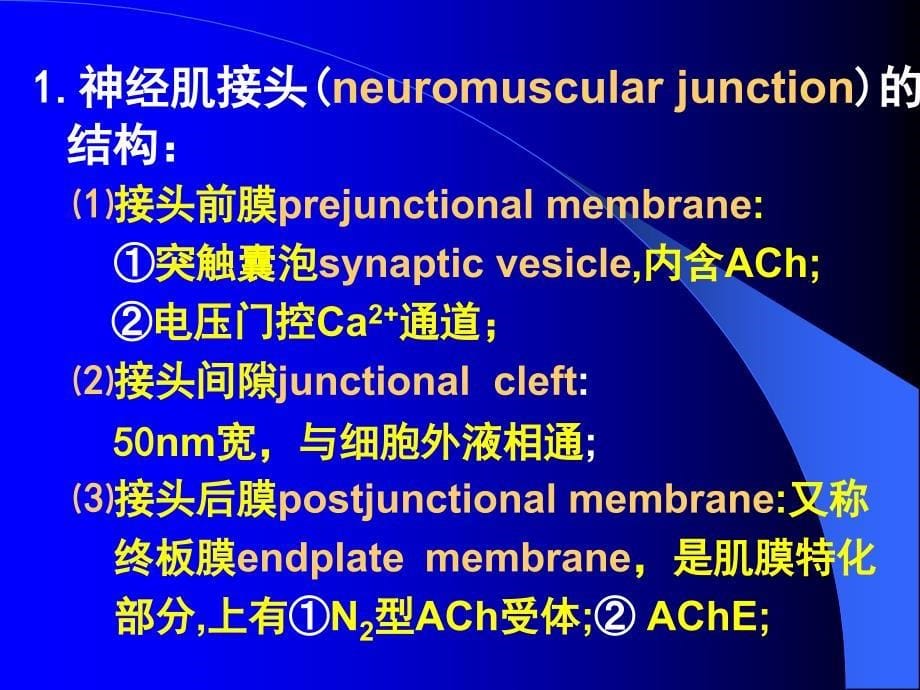 四节肌细胞收缩功能Contractionofmusclecell_第5页