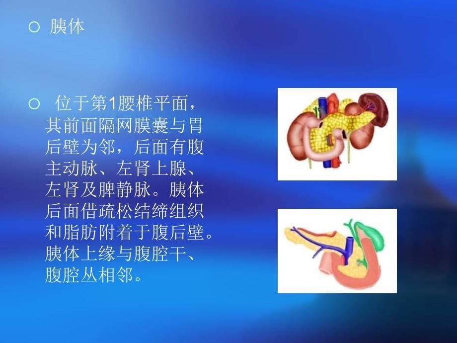 胰腺癌的护理查房_第5页