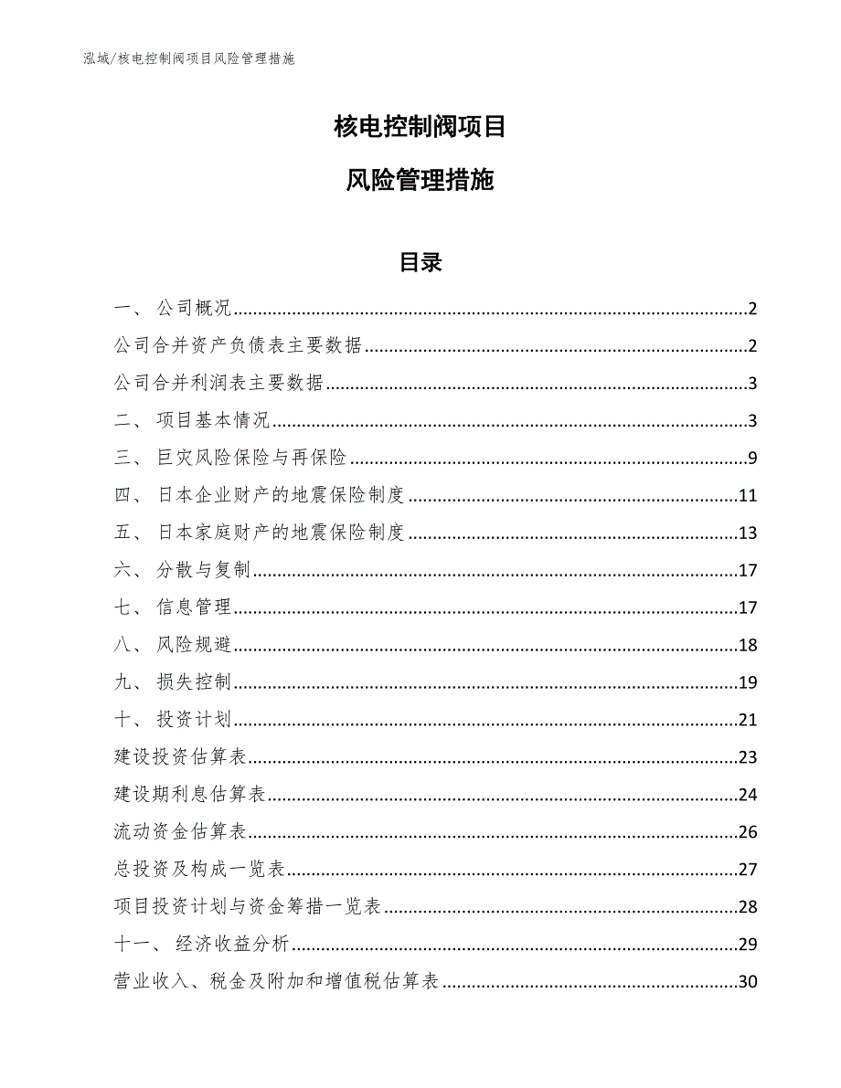 核电控制阀项目风险管理措施【范文】_第1页