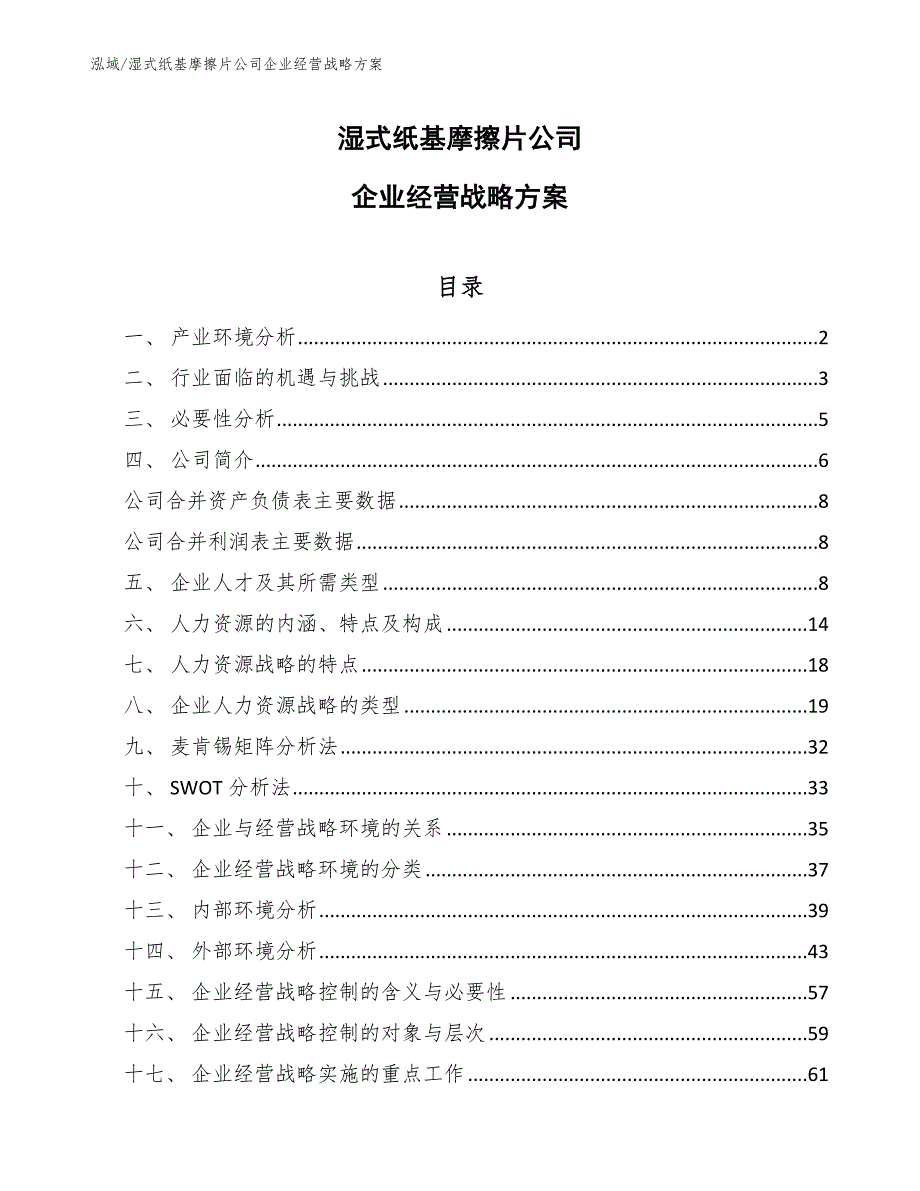 湿式纸基摩擦片公司企业经营战略方案_第1页