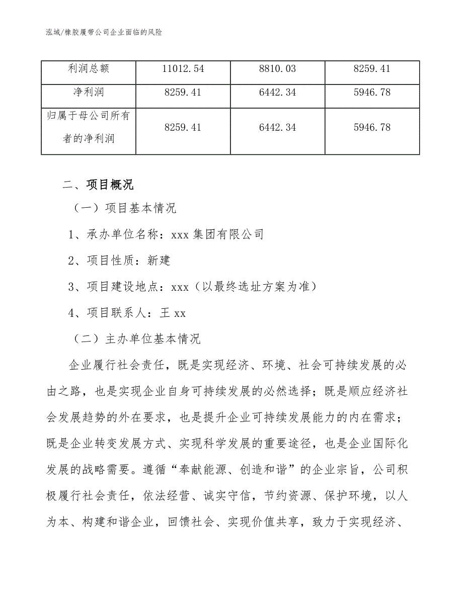 橡胶履带公司企业面临的风险（范文）_第3页