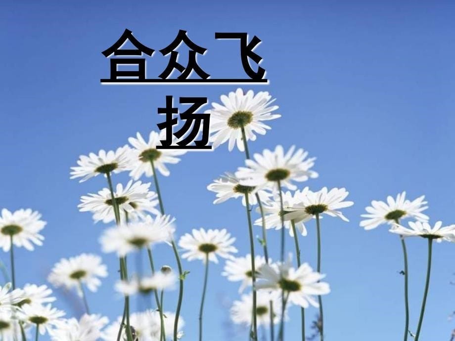 重阳节保险专题早会_第5页