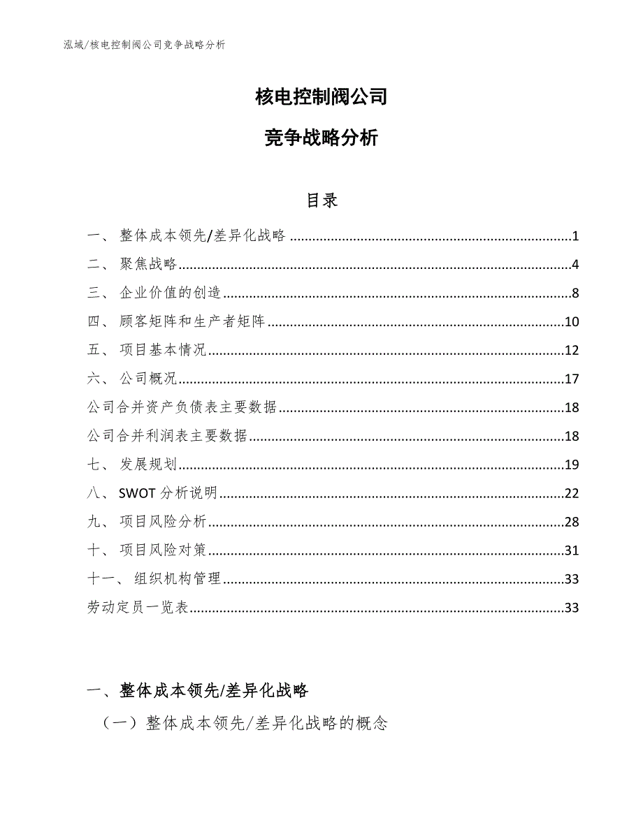 核电控制阀公司竞争战略分析_第1页