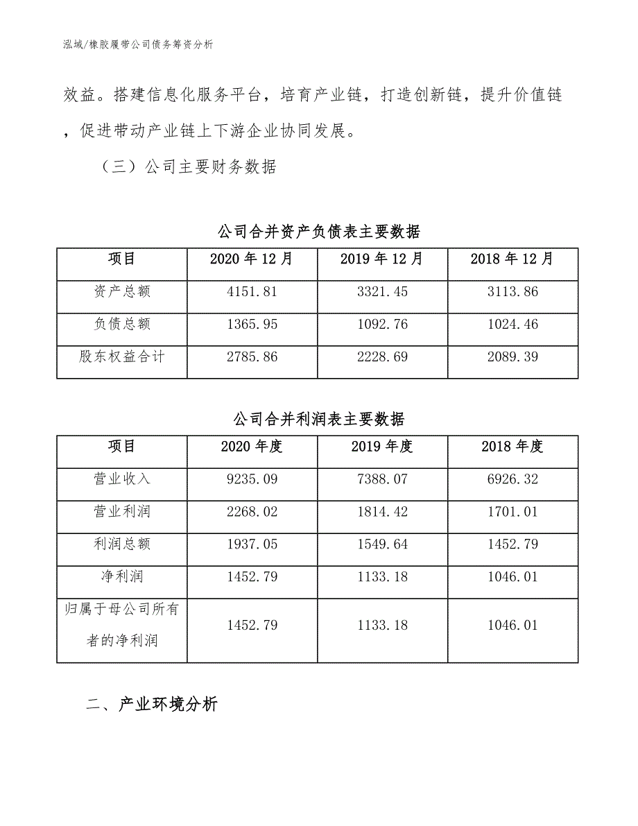 橡胶履带公司债务筹资分析_范文_第3页