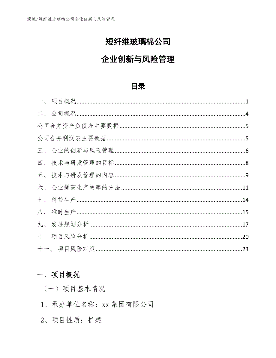 短纤维玻璃棉公司企业创新与风险管理_第1页