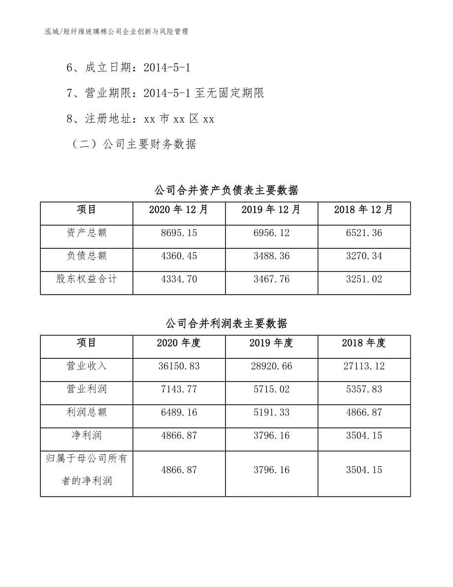 短纤维玻璃棉公司企业创新与风险管理_第5页