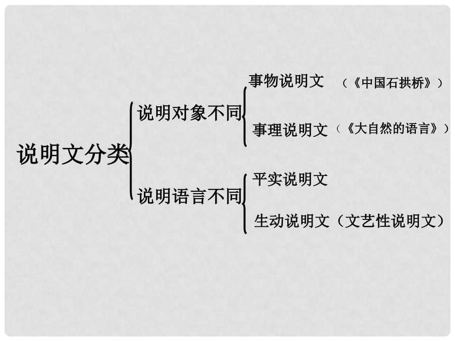 中考语文 说明文阅读复习课件_第3页