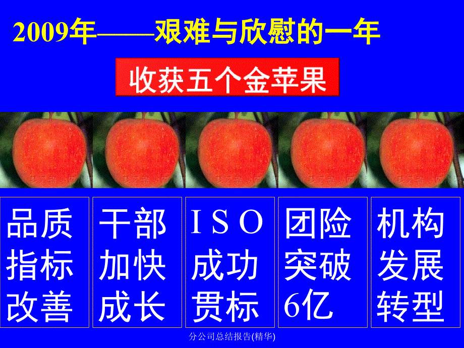 分公司总结报告精华课件_第4页