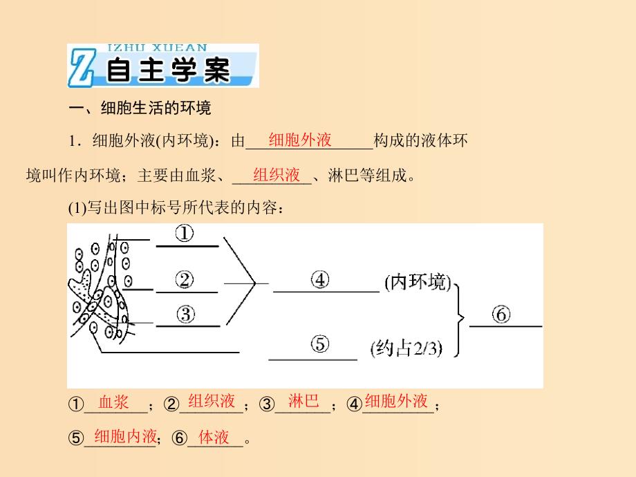 2019版高考生物一轮总复习 第1章 人体的内环境与稳态 第1、2节 细胞生活的环境、内环境稳态的重要性课件 必修3.ppt_第4页