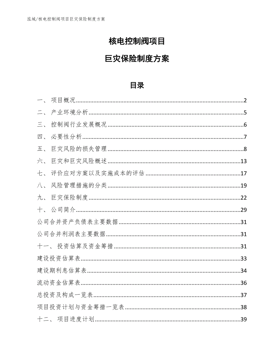 核电控制阀项目巨灾保险制度方案【参考】_第1页