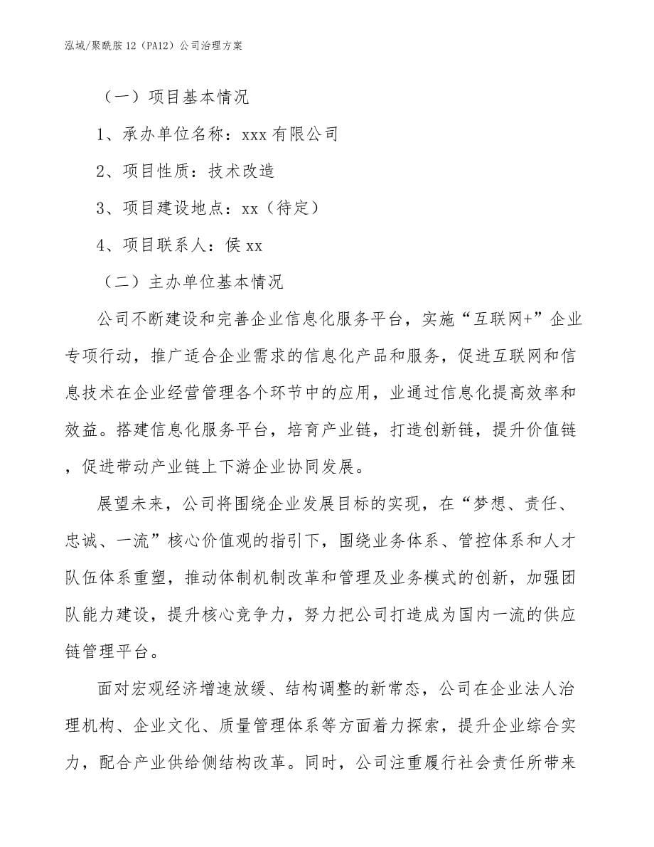 聚酰胺12（PA12）公司治理方案_参考_第5页