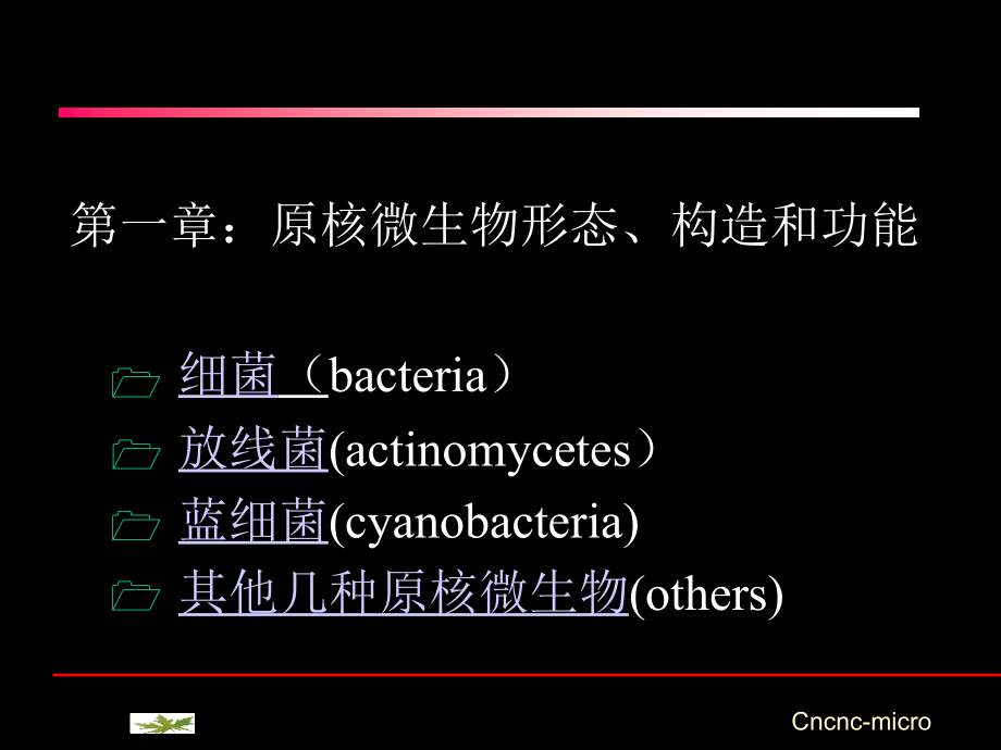 原核微生物形态_第1页