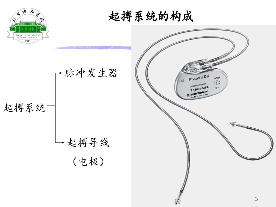 起搏器基础知识杨德彦PPT参考幻灯片_第3页