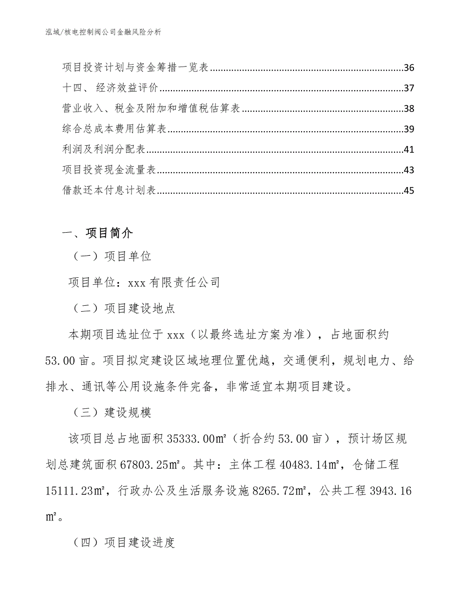 核电控制阀公司金融风险分析_第2页