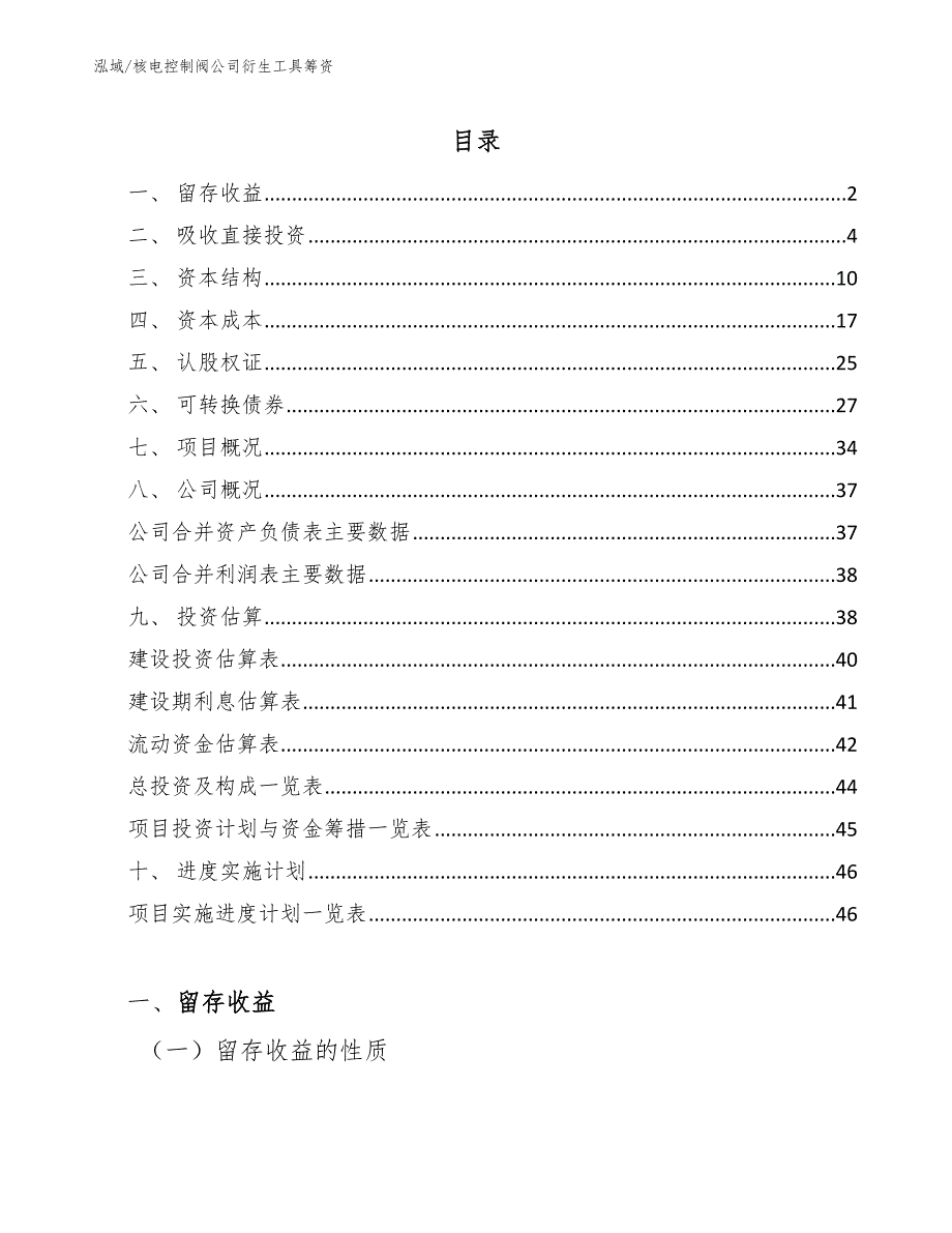 核电控制阀公司衍生工具筹资_第2页