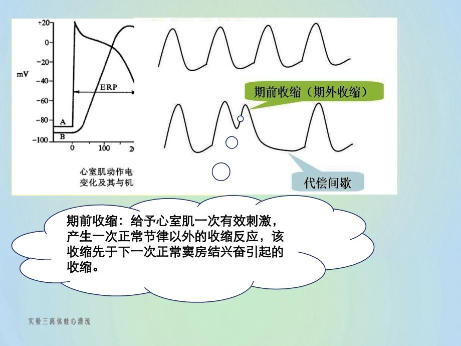 实验三离体蛙心灌流_第4页