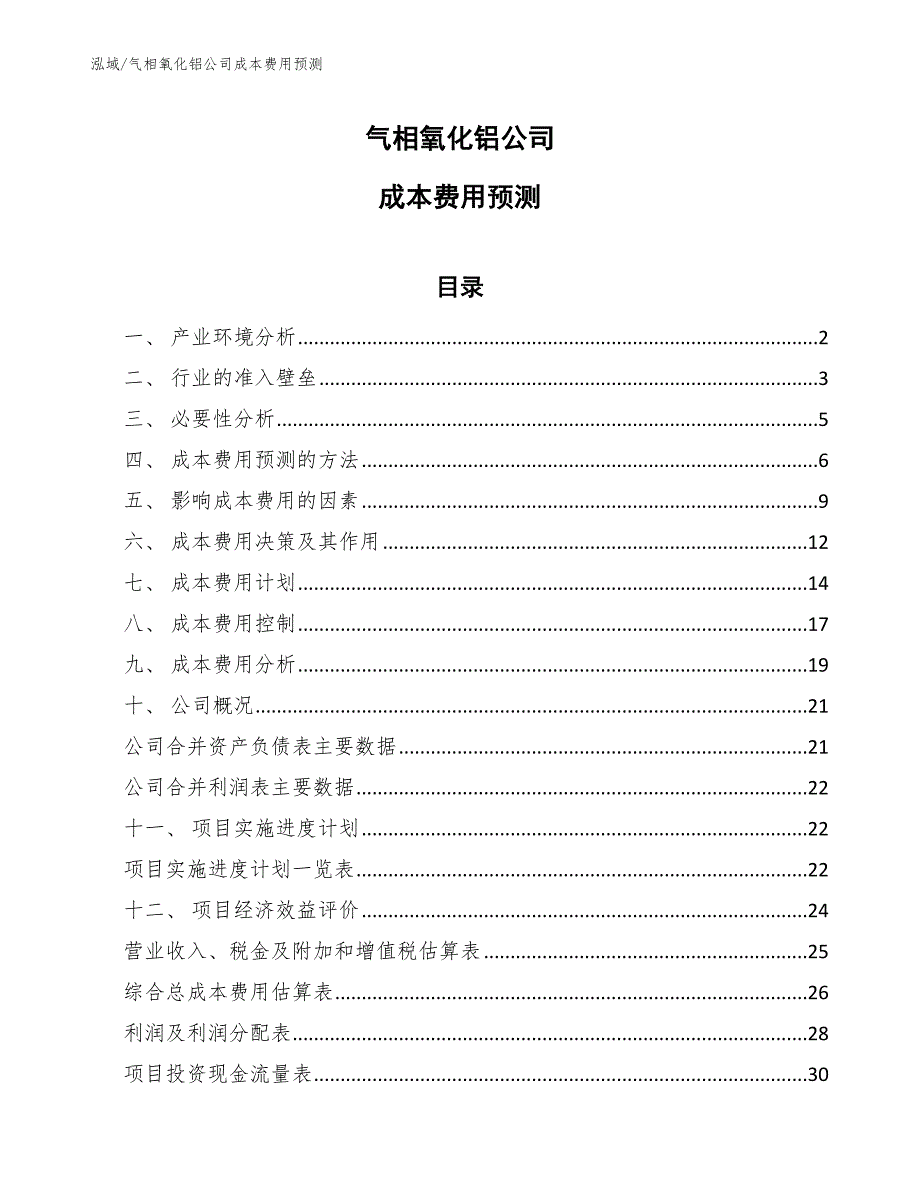 气相氧化铝公司成本费用预测（参考）_第1页