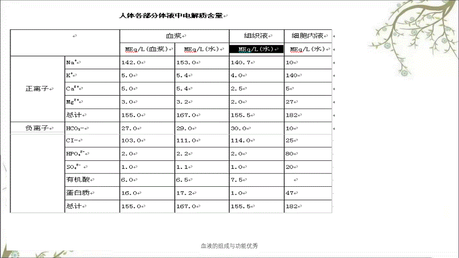 血液的组成与功能优秀_第3页