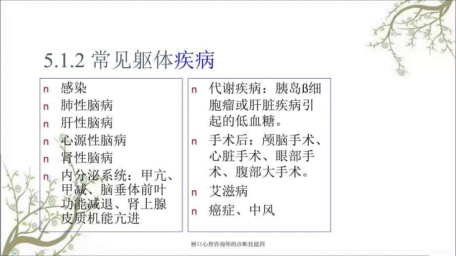 桥口心理咨询师的诊断技能四课件_第5页