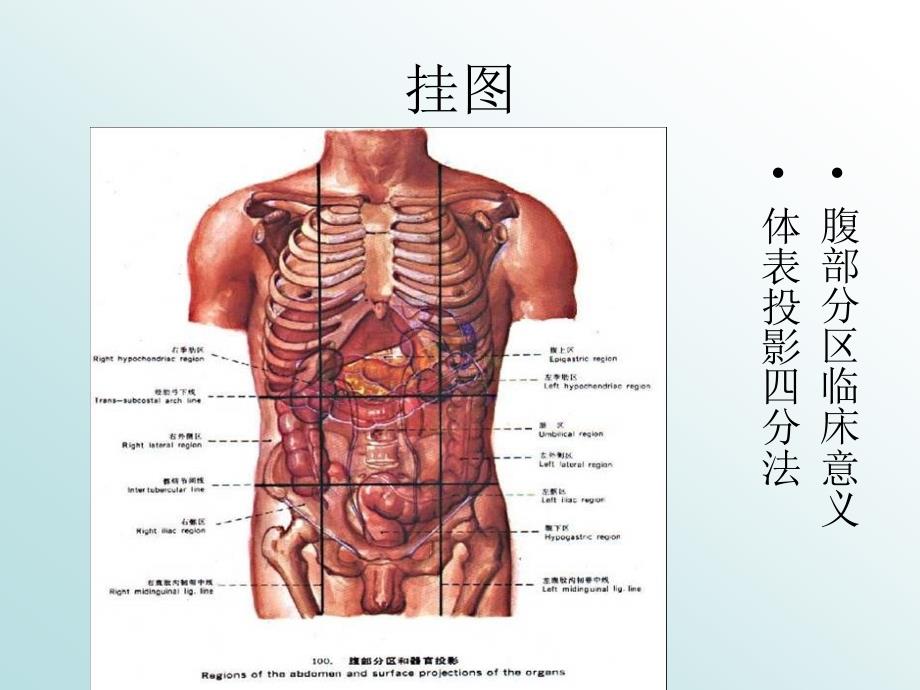 急性右下痛诊断要点_第4页