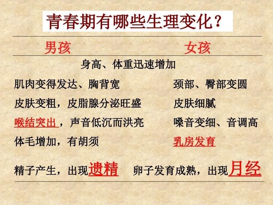 《青春期》PPT课件.ppt_第5页